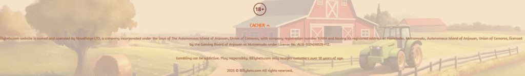 BillyBets Casino licence